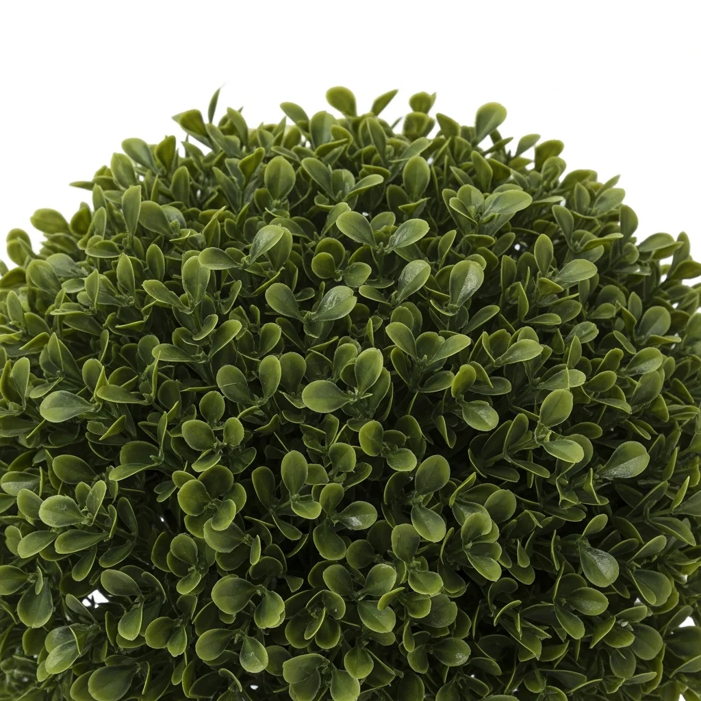 Polyblend® Outdoor Boxwood