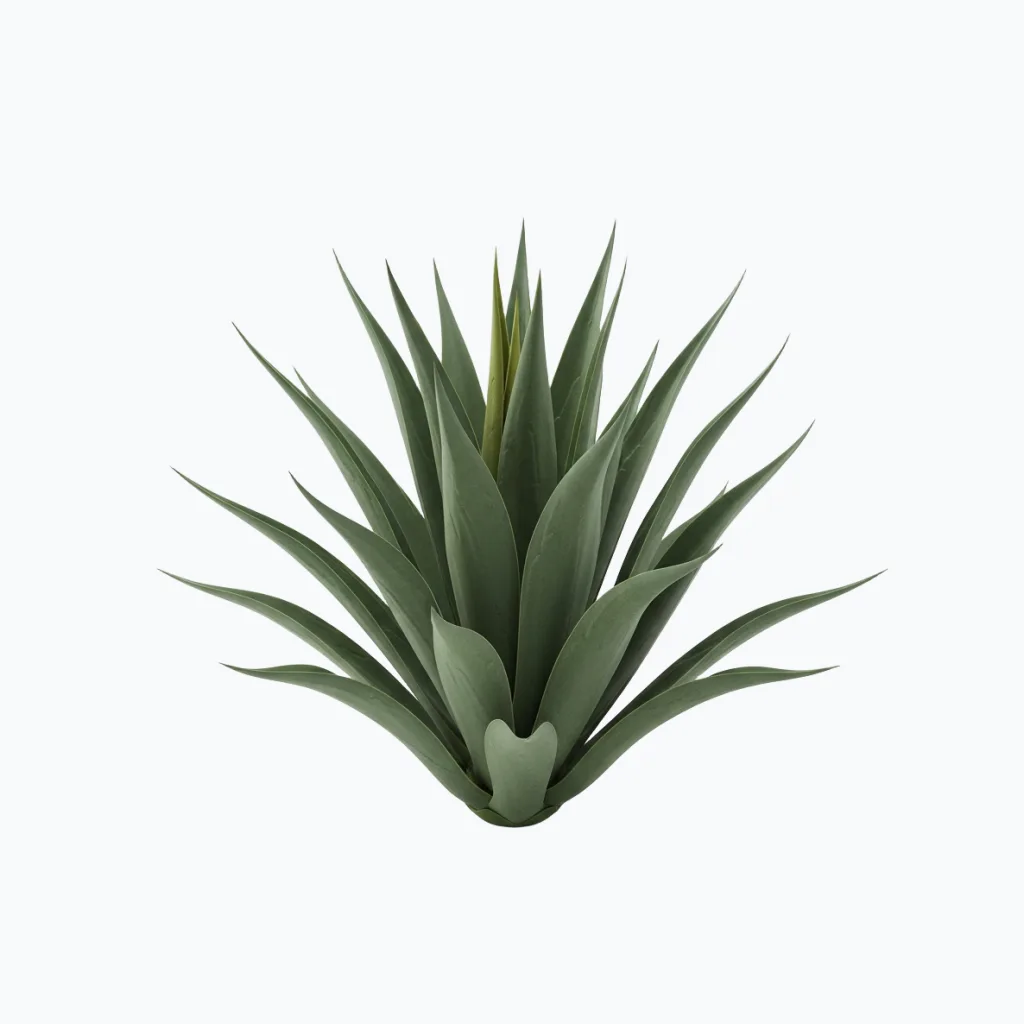 Artificial Agave Cactus Plant