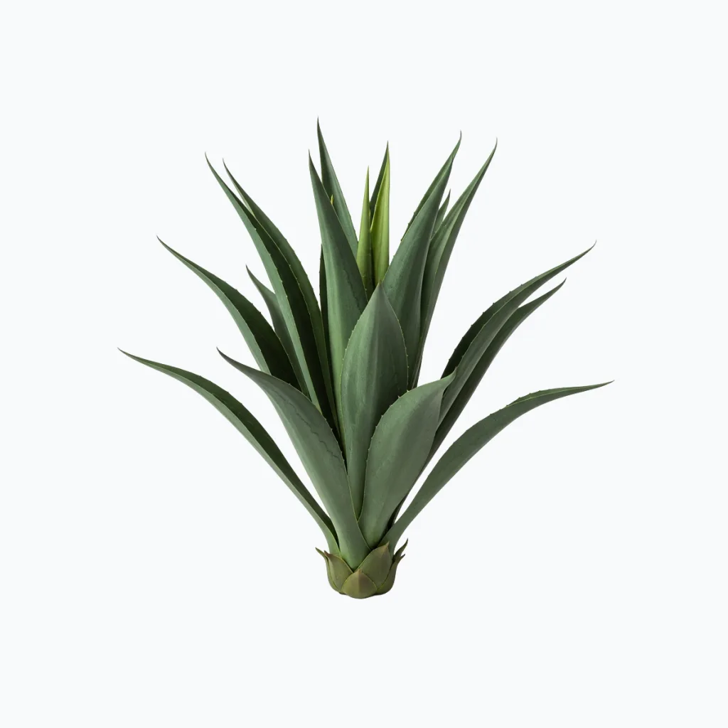 Indoor Artificial Agave Plant