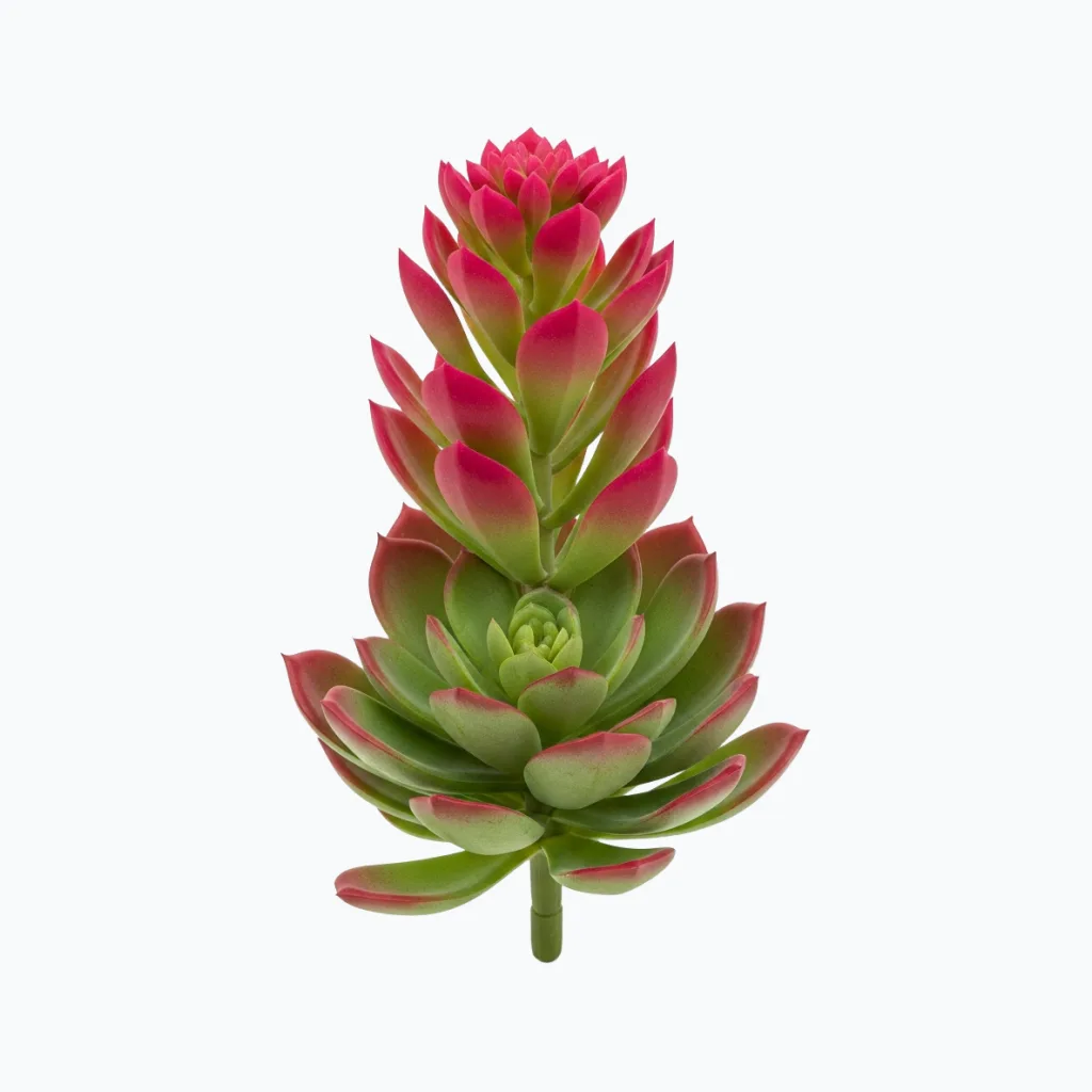 Real Touch Fuchsia Echeveria