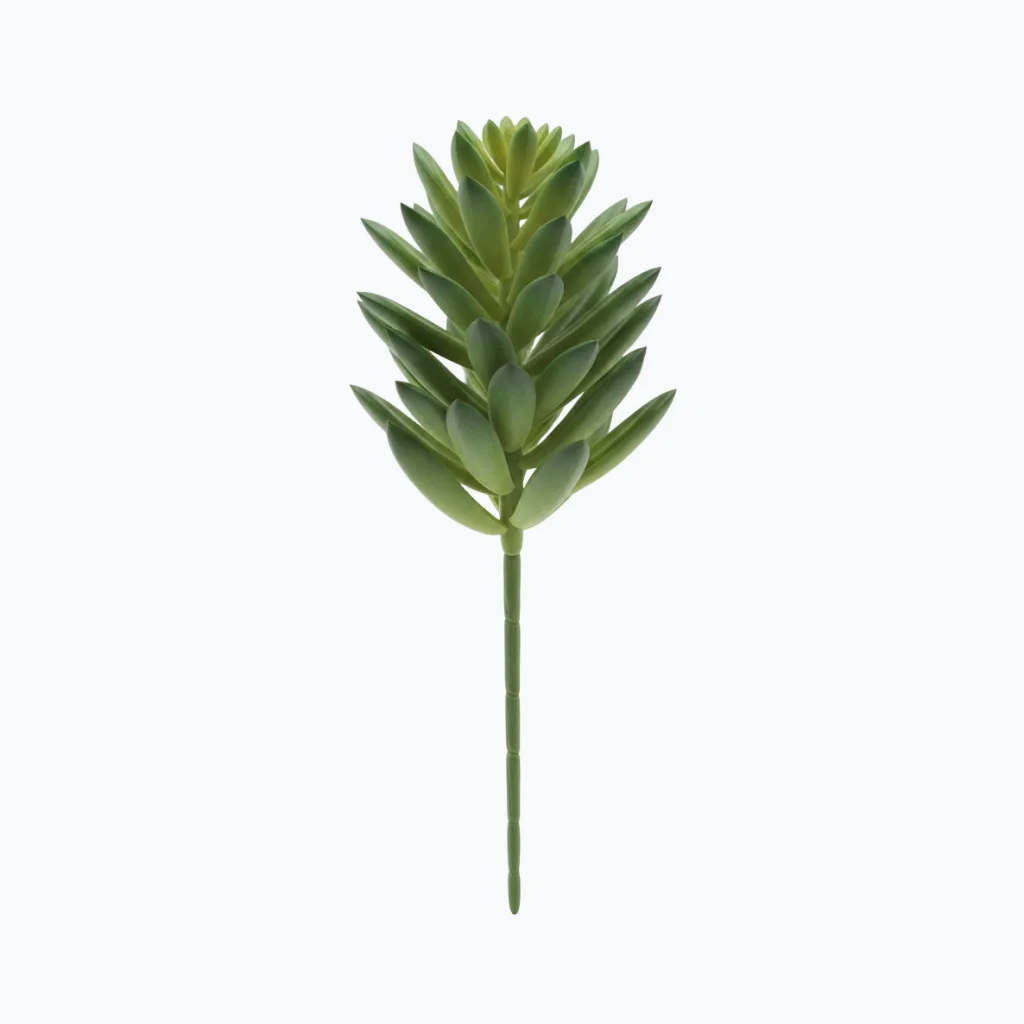 UV-Resistant Echeveria Stem Pick