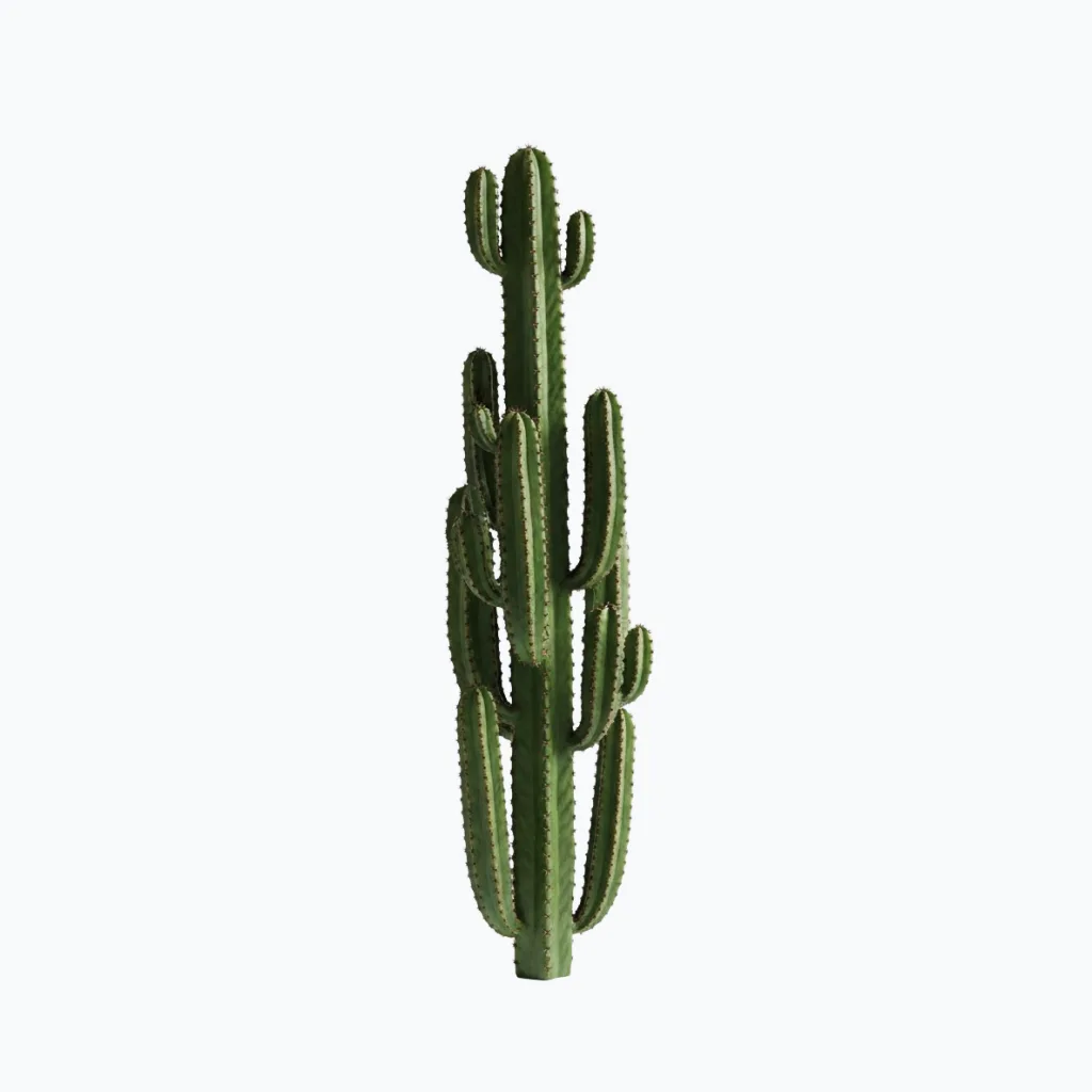 Artificial Euphorbia Cactus