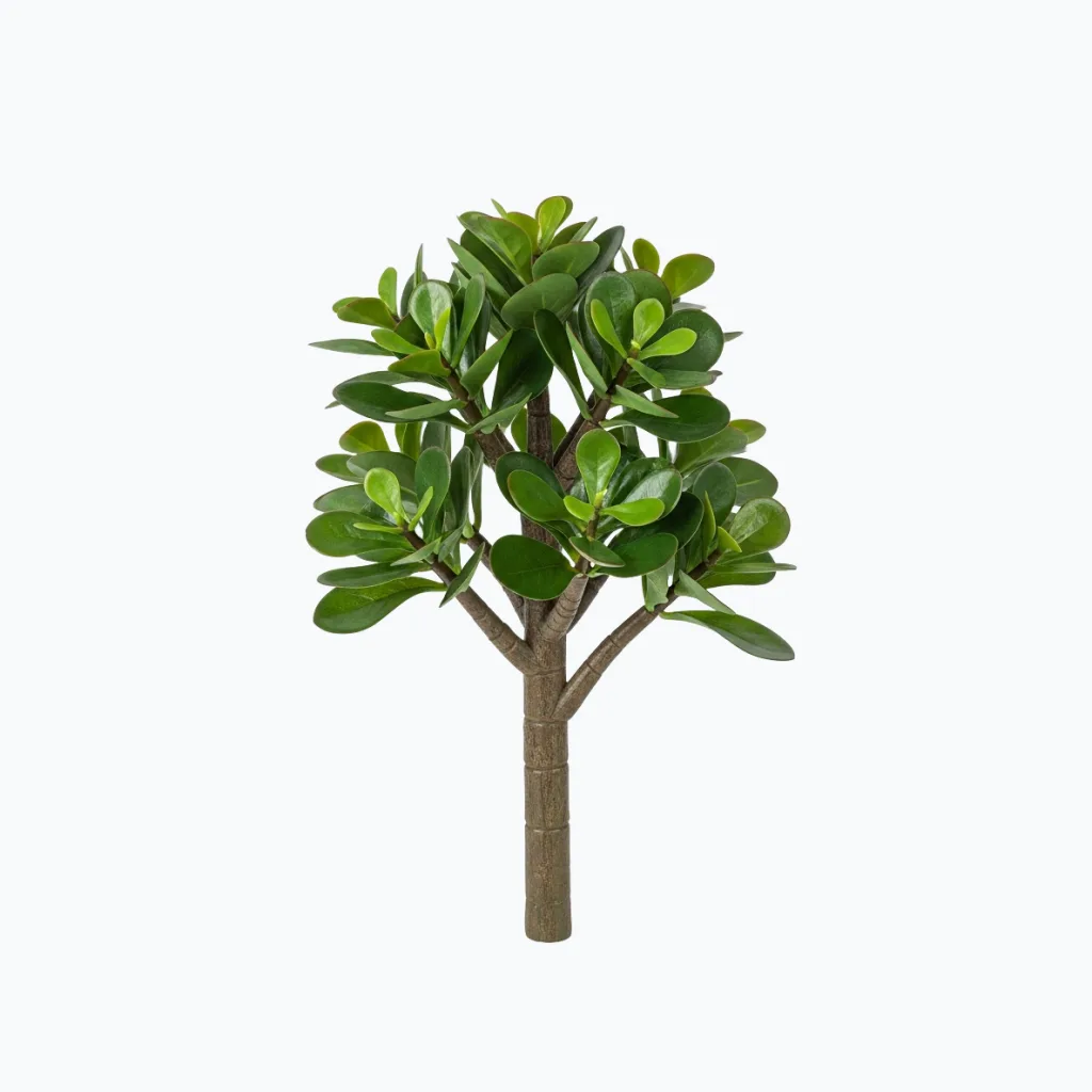 Artificial Jade Plant
