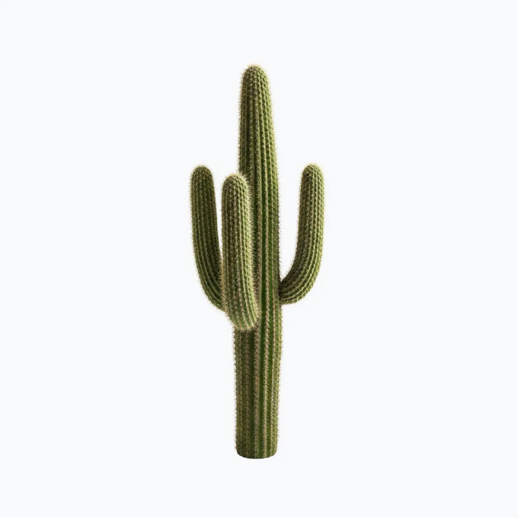 Artificial Saguaro Cactus