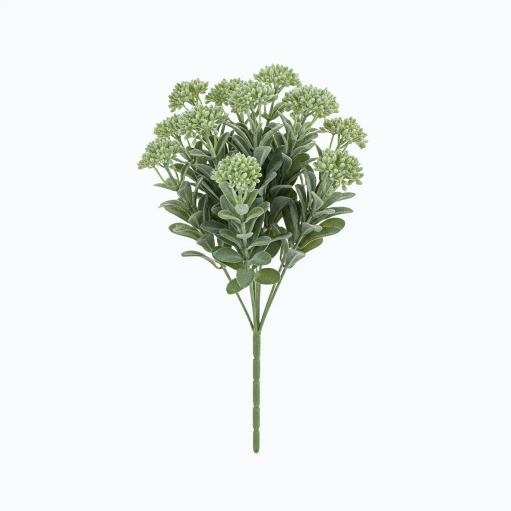 UV-Resistant Dusty Green Sedum