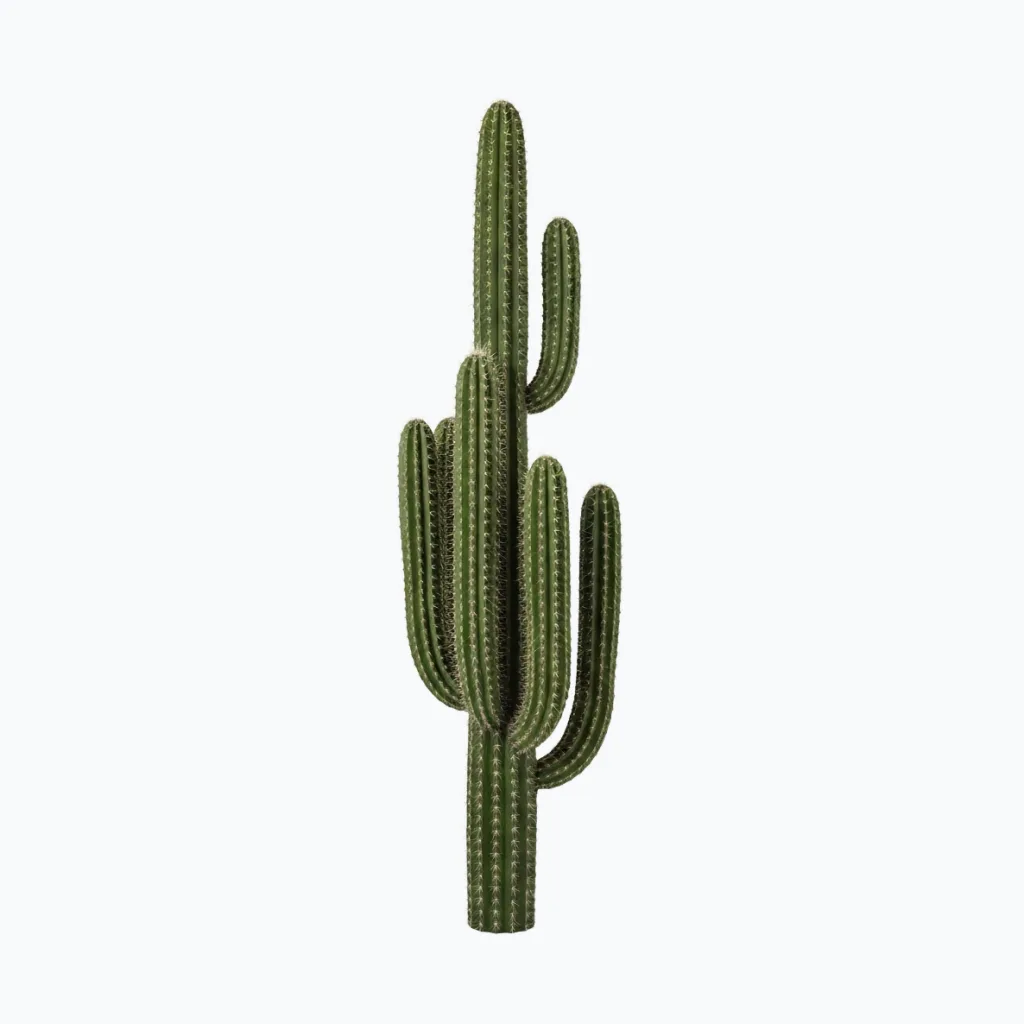 Tall Artificial Cactus Plant