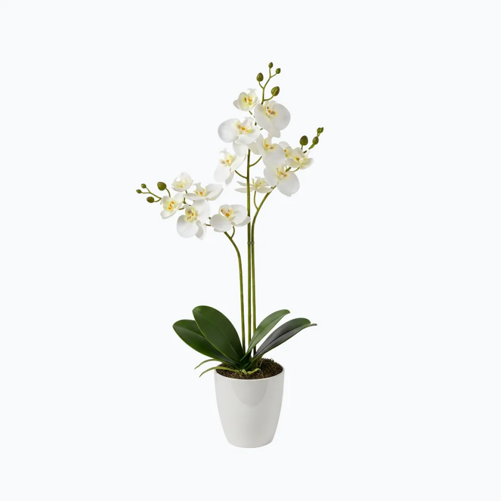 Artificial Orchid Plant
