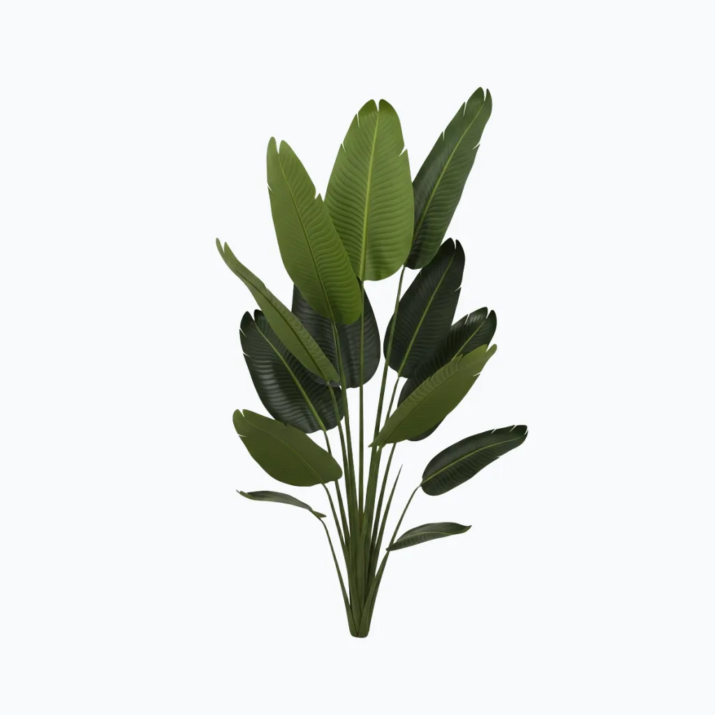 Artificial Bird of Paradise Plant