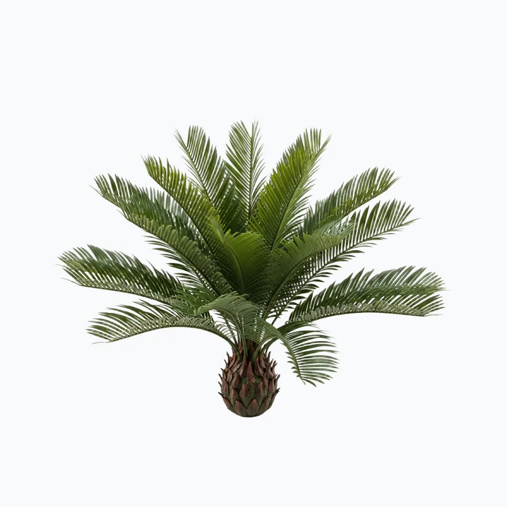 Artificial Cycas Sago Palm