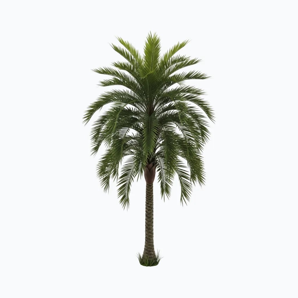 Artificial Date Palm Tree