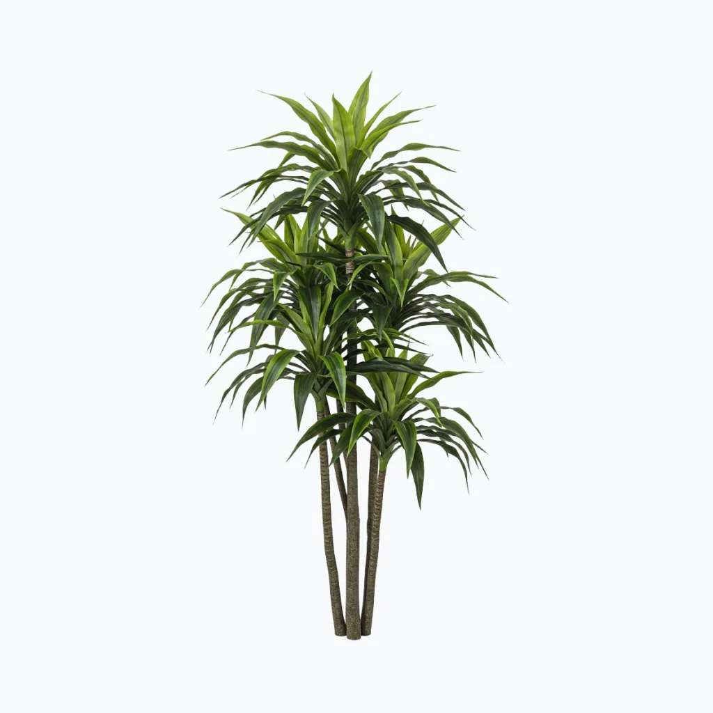 Artificial Dracaena Tree