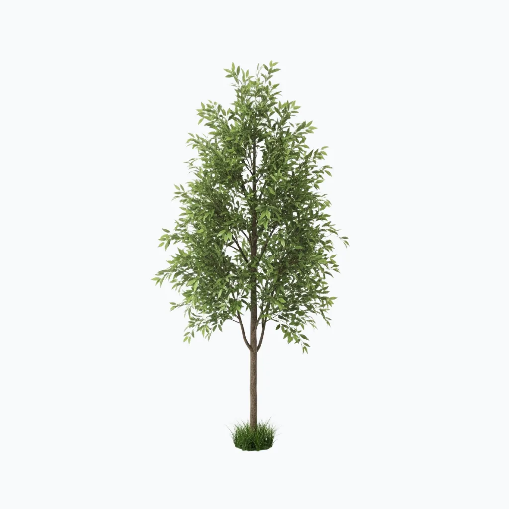 Polyblend® Outdoor Tree